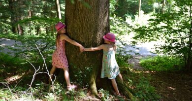 ALBERI ABBRACCIARE