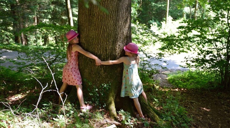 ALBERI ABBRACCIARE