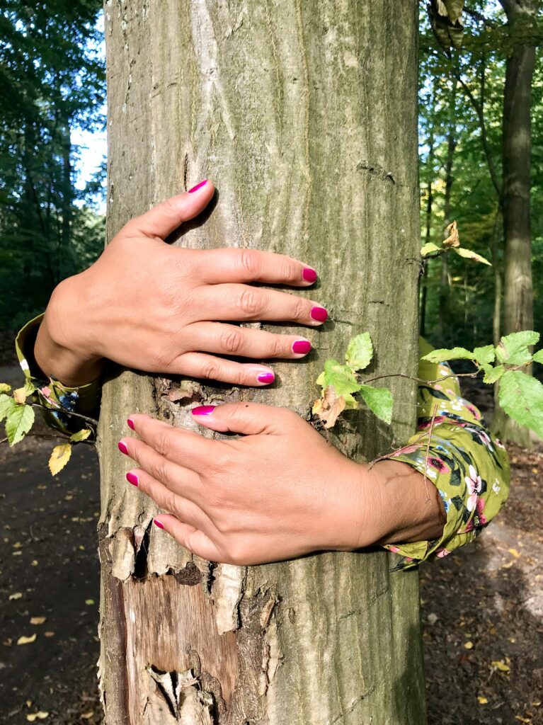 ALBERI ABBRACCIARE