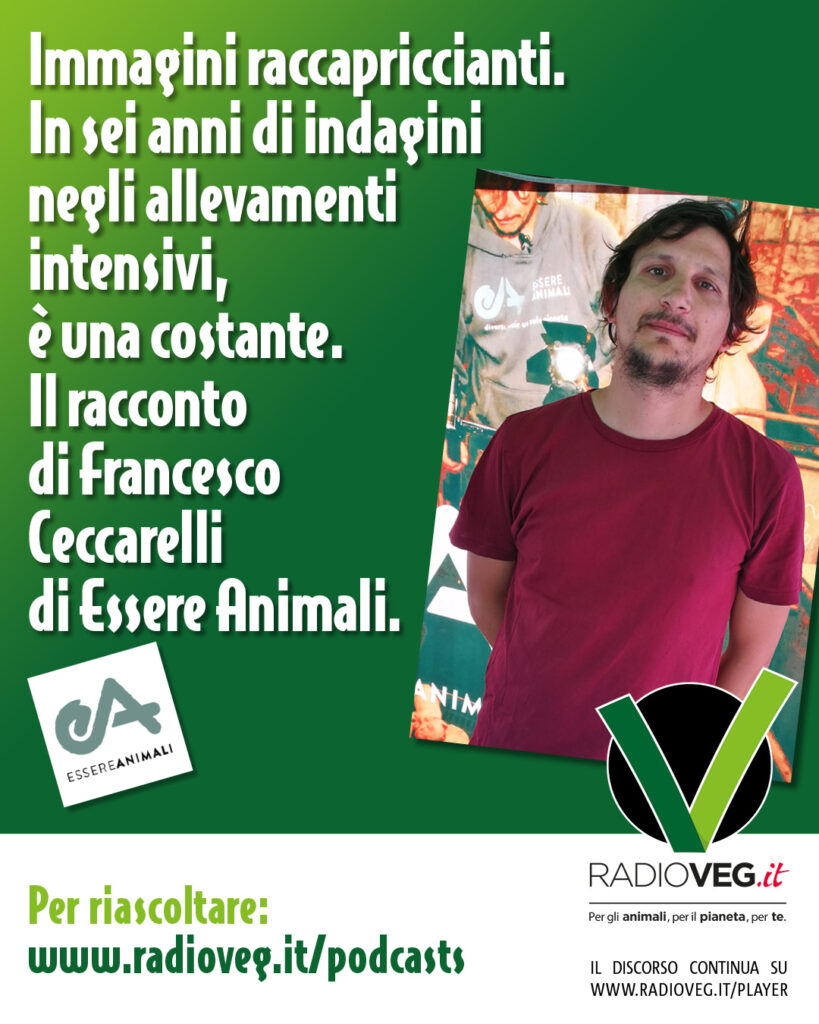 Essere Animali