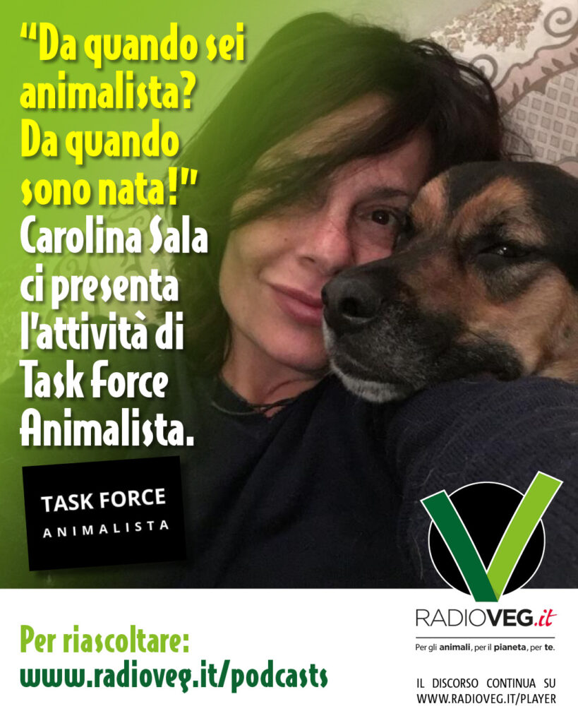 Movimento Task Force Animalista