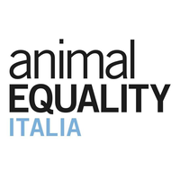 animal equality