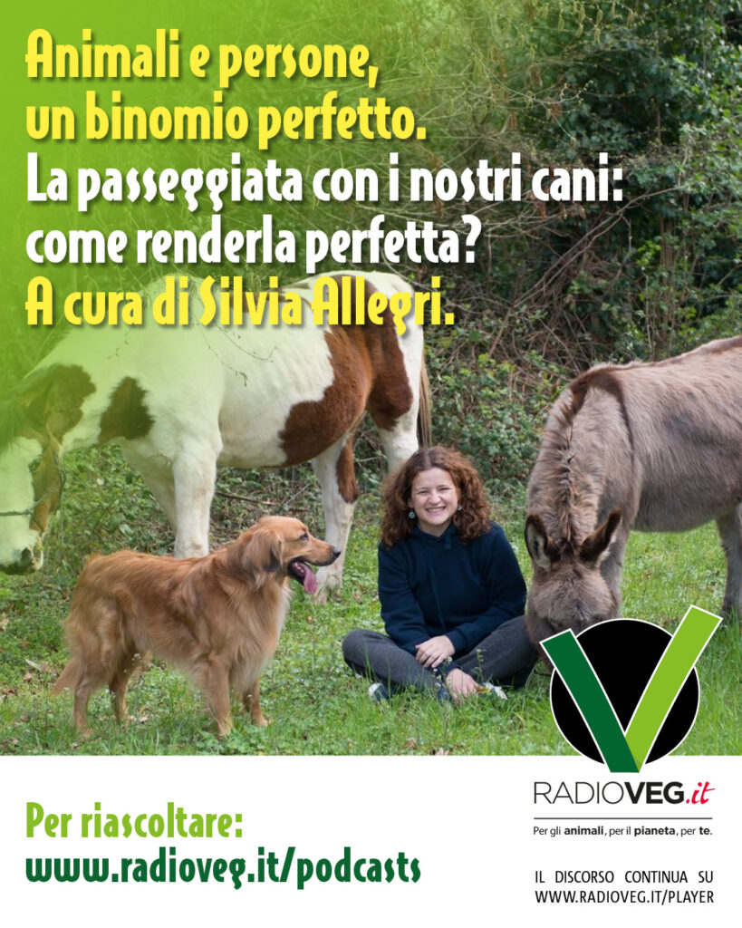 animali e persone