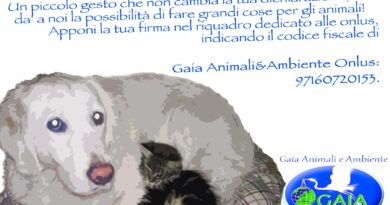 GAIA ANIMALI E AMBIENTE