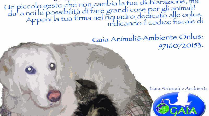 GAIA ANIMALI E AMBIENTE