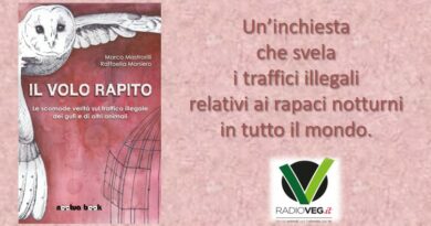 il volo rapito