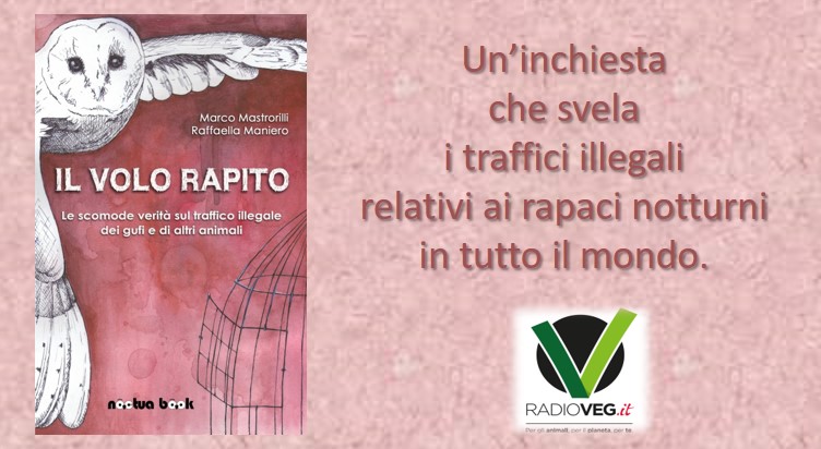 il volo rapito