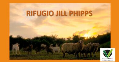 RIFUGIO JILL PHIPPS