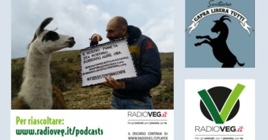 capra libera tutti