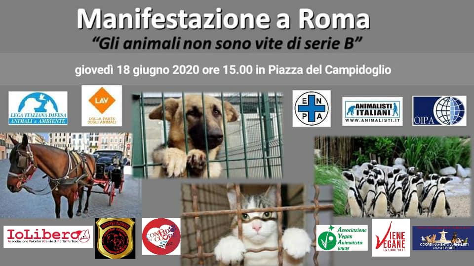 Manifestazioni E Presidi Post Lockdown Radioveg It