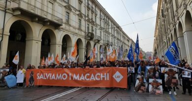 La manifestazione torinese di Ottobre 19