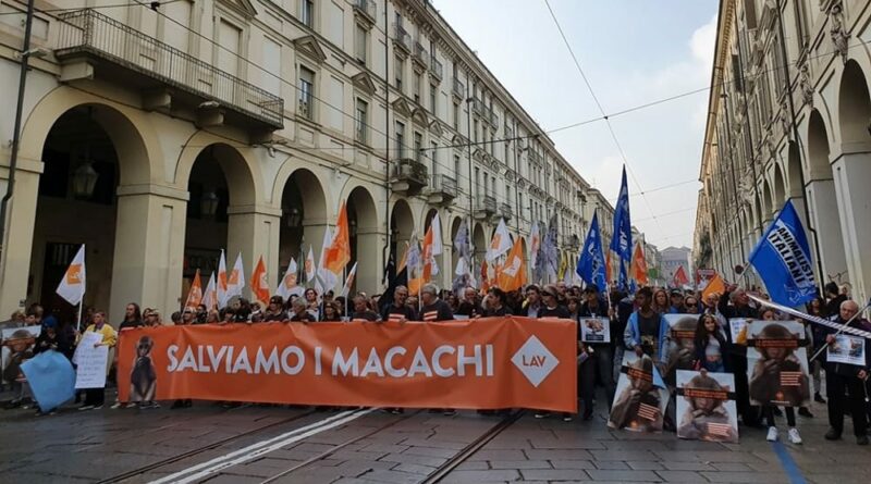 La manifestazione torinese di Ottobre 19