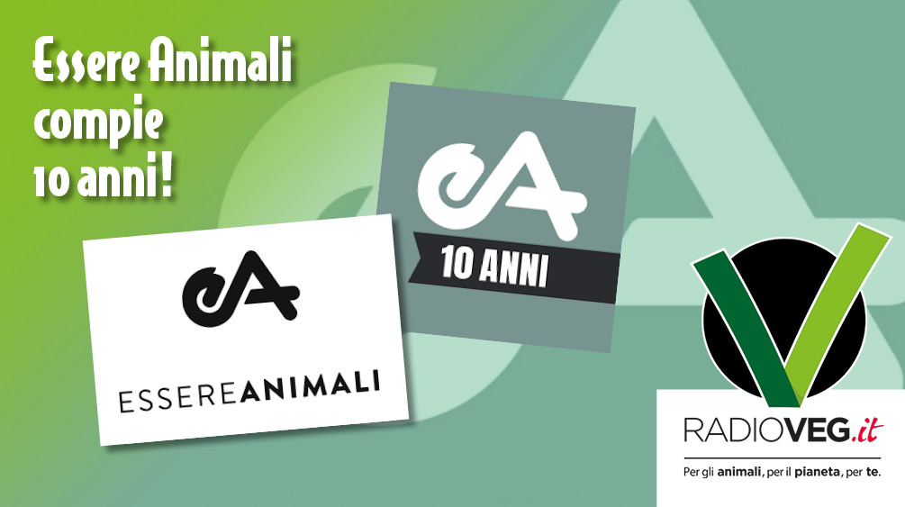 10 anni essere animali