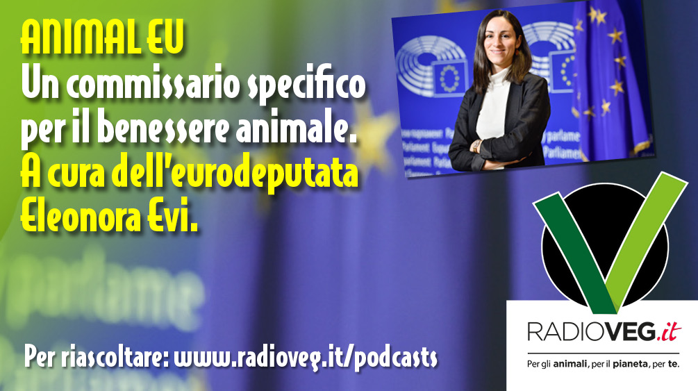 ANIMAL EU COMMISSARIO