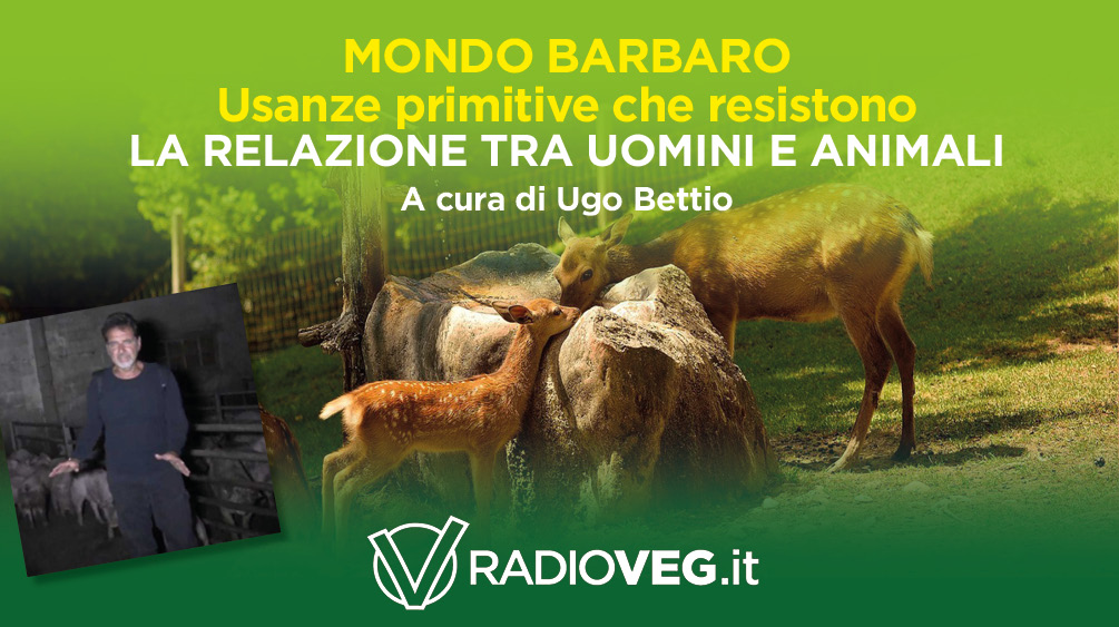 mondo barbaro