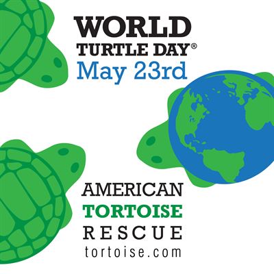 WORLD TURTLE DAY LOGO