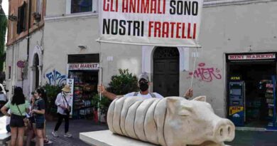 porchetta trastevere