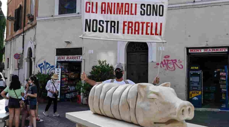 porchetta trastevere