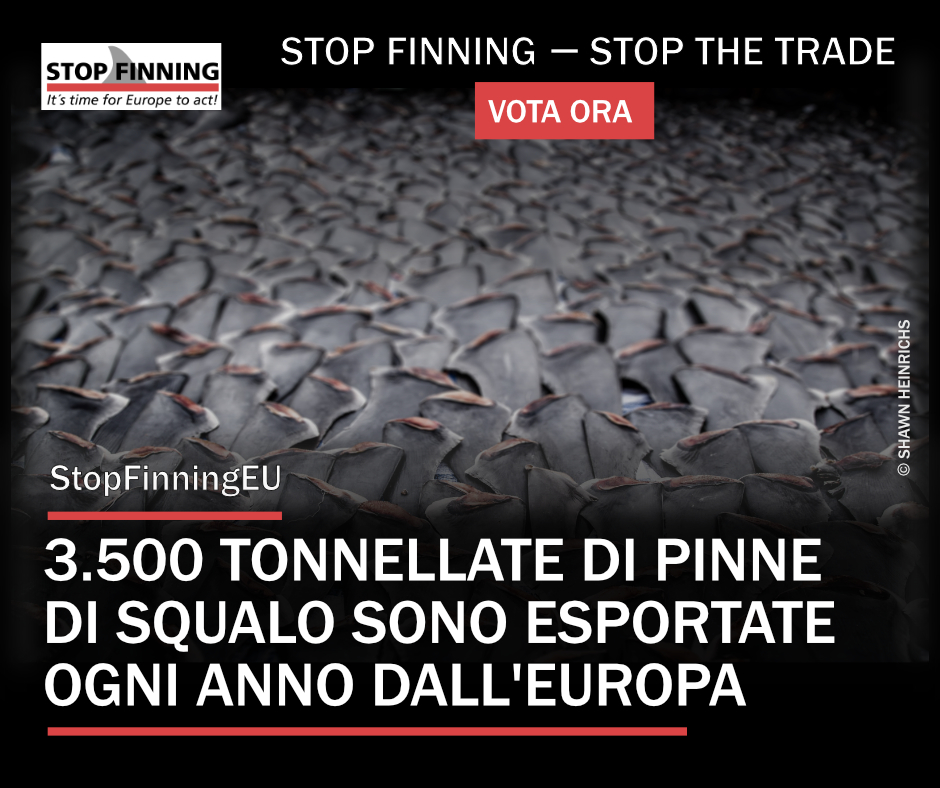stop finning eu