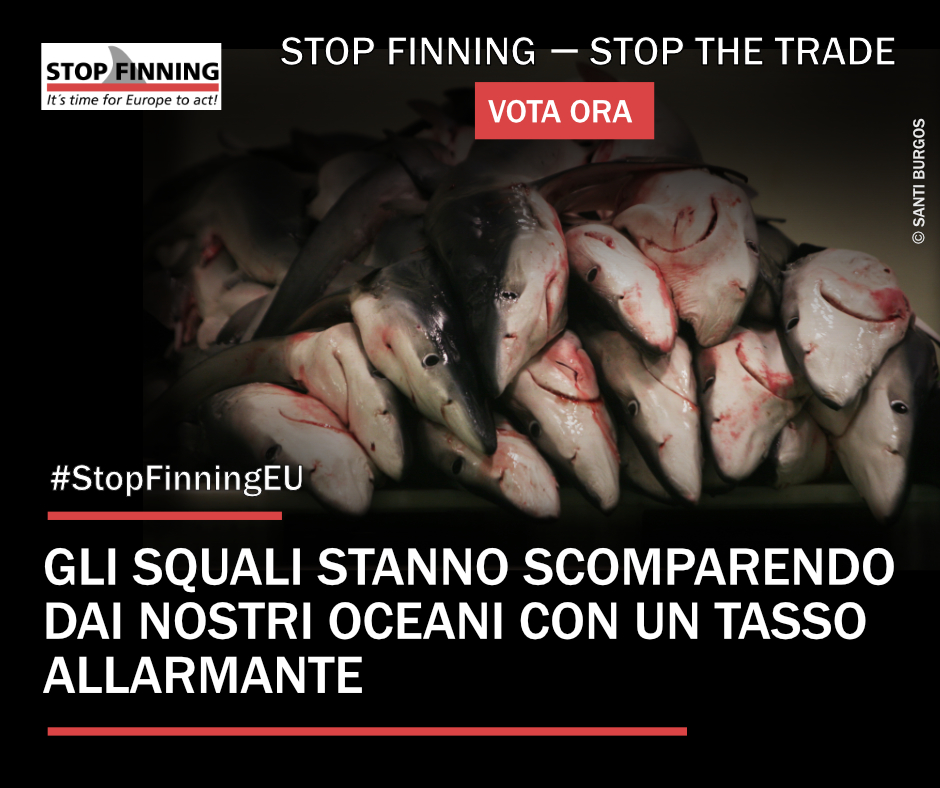 stop finning eu