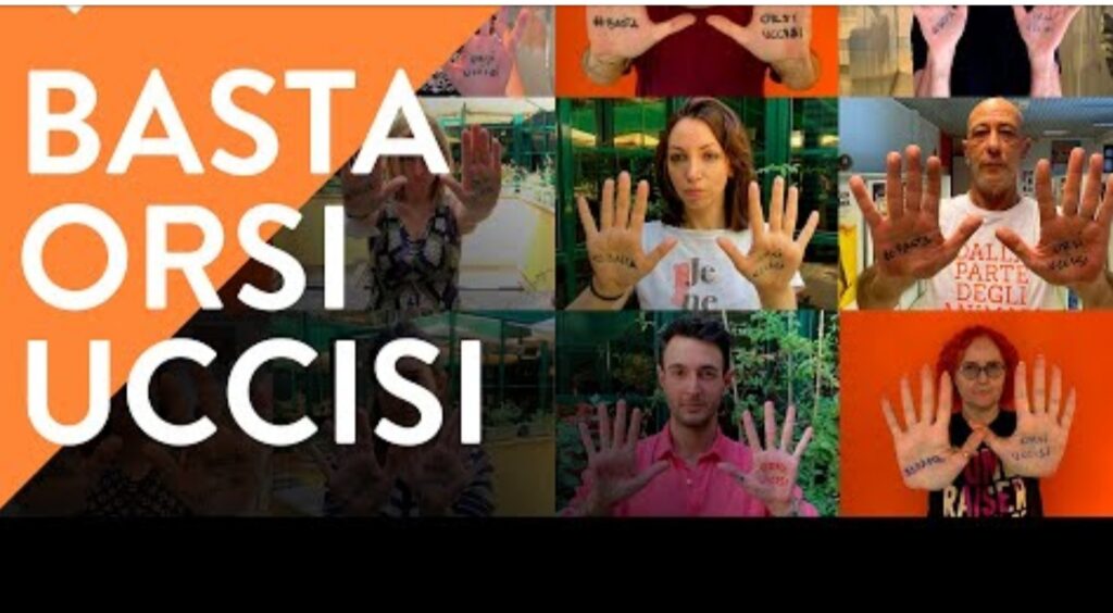 #BastaOrsiUccisi