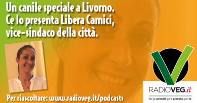 LIBERA CAMICI