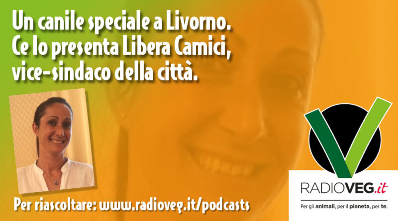 LIBERA CAMICI