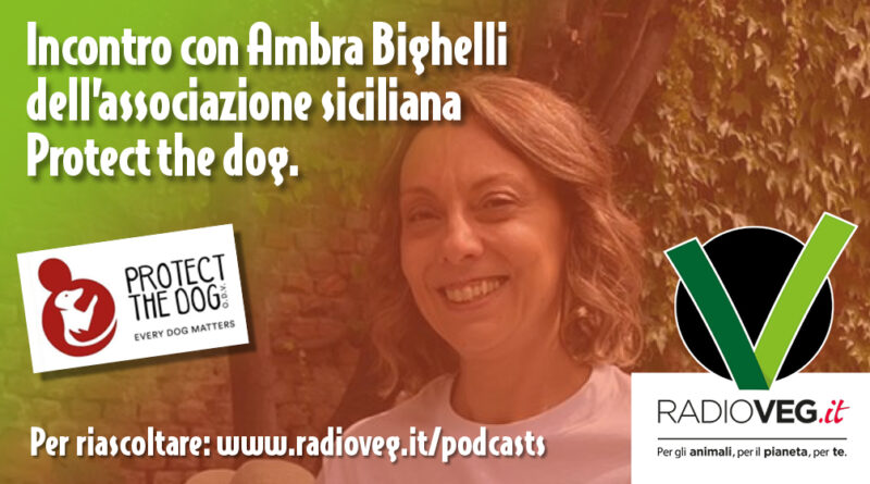 AMBRA BIGHELLI PROTECT THE DOG