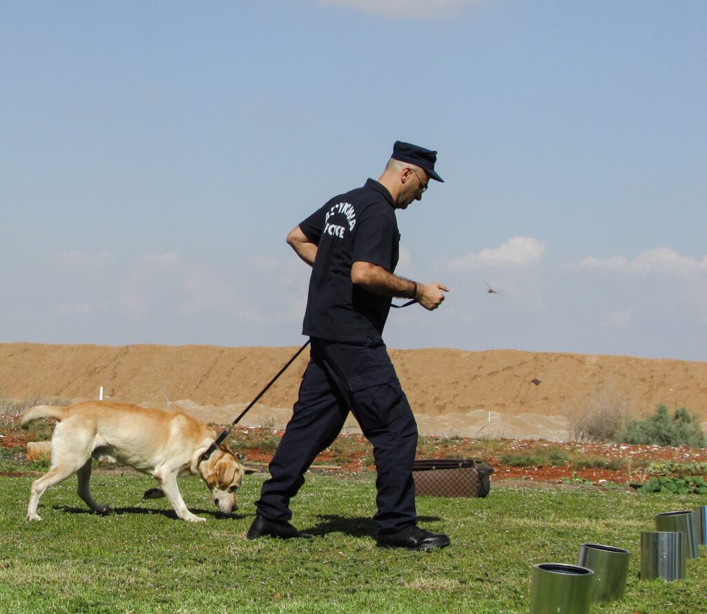 cani poliziotto