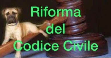 RIFORMA CODICE CIVILE