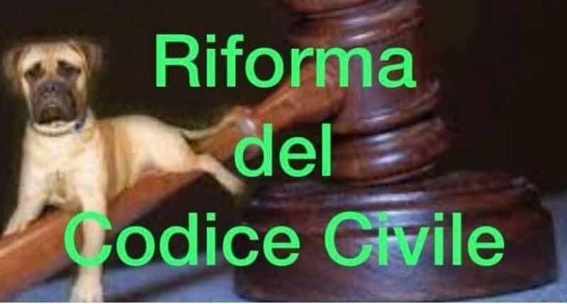 RIFORMA CODICE CIVILE