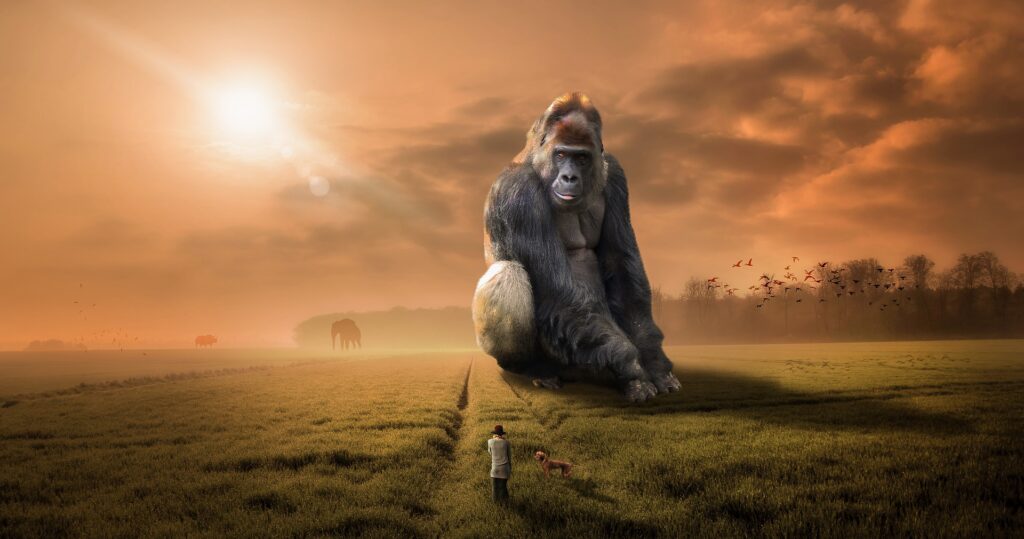 gorilla da pixabay