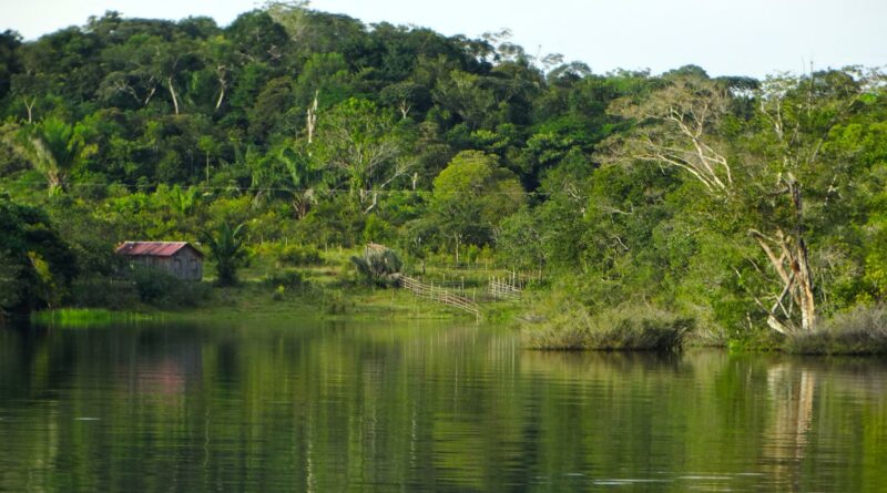 amazzonia