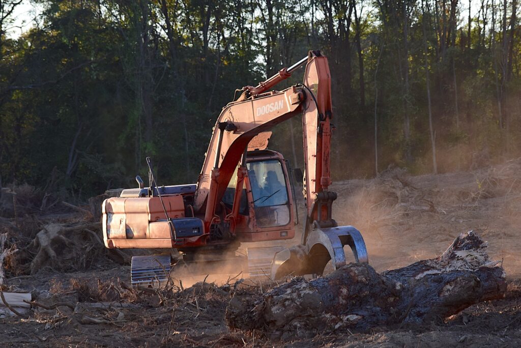 deforestazione