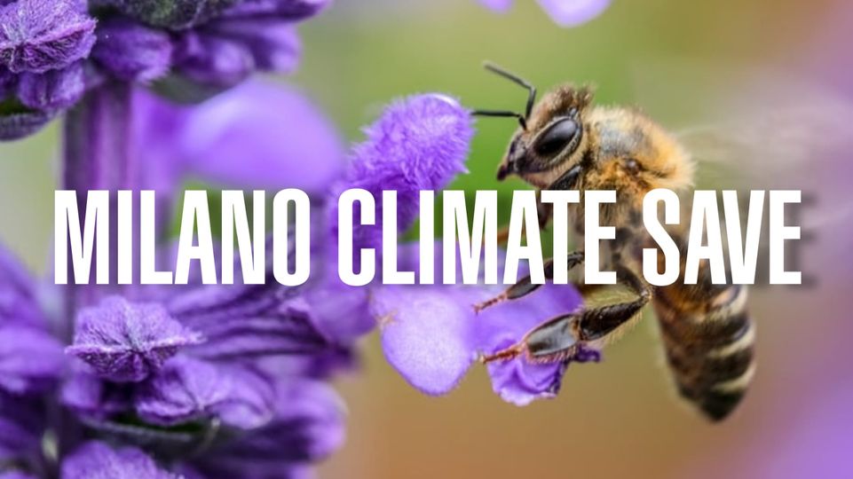 milano climate save