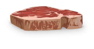 Carne Coltivata