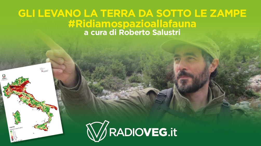 RIDIAMO SPAZIO ALLA FAUNA - SALUSTRI