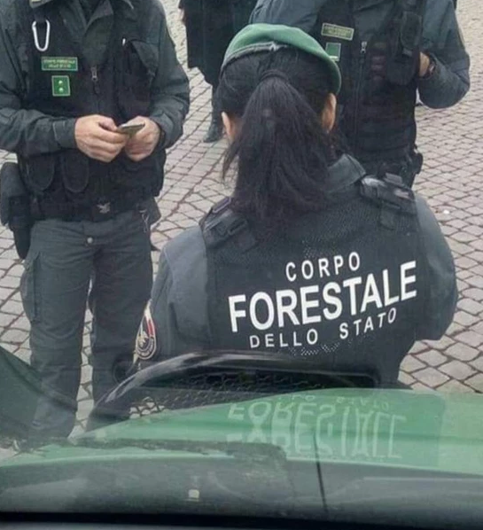 Corpo Forestale