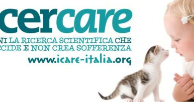 RICERCARE