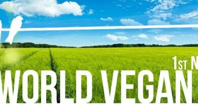 world vegan day