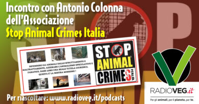 STOP ANIMAL CRIMES ANTONIO COLONNA