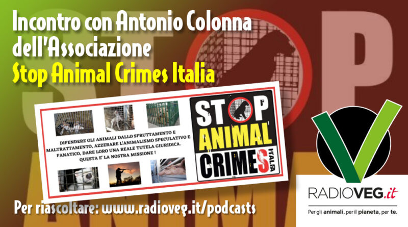 STOP ANIMAL CRIMES ANTONIO COLONNA