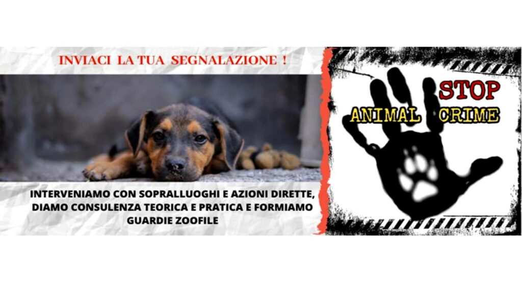 STOP ANIMAL CRIMES ITALIA