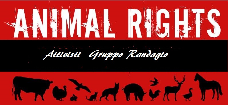 Attivisti gruppo randagio