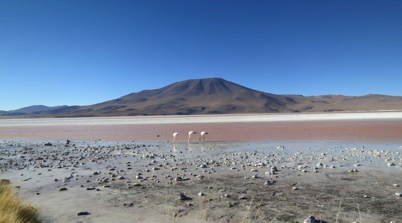 deserto di atacama