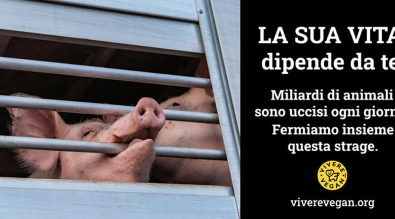 comunichiamolo vivere vegan