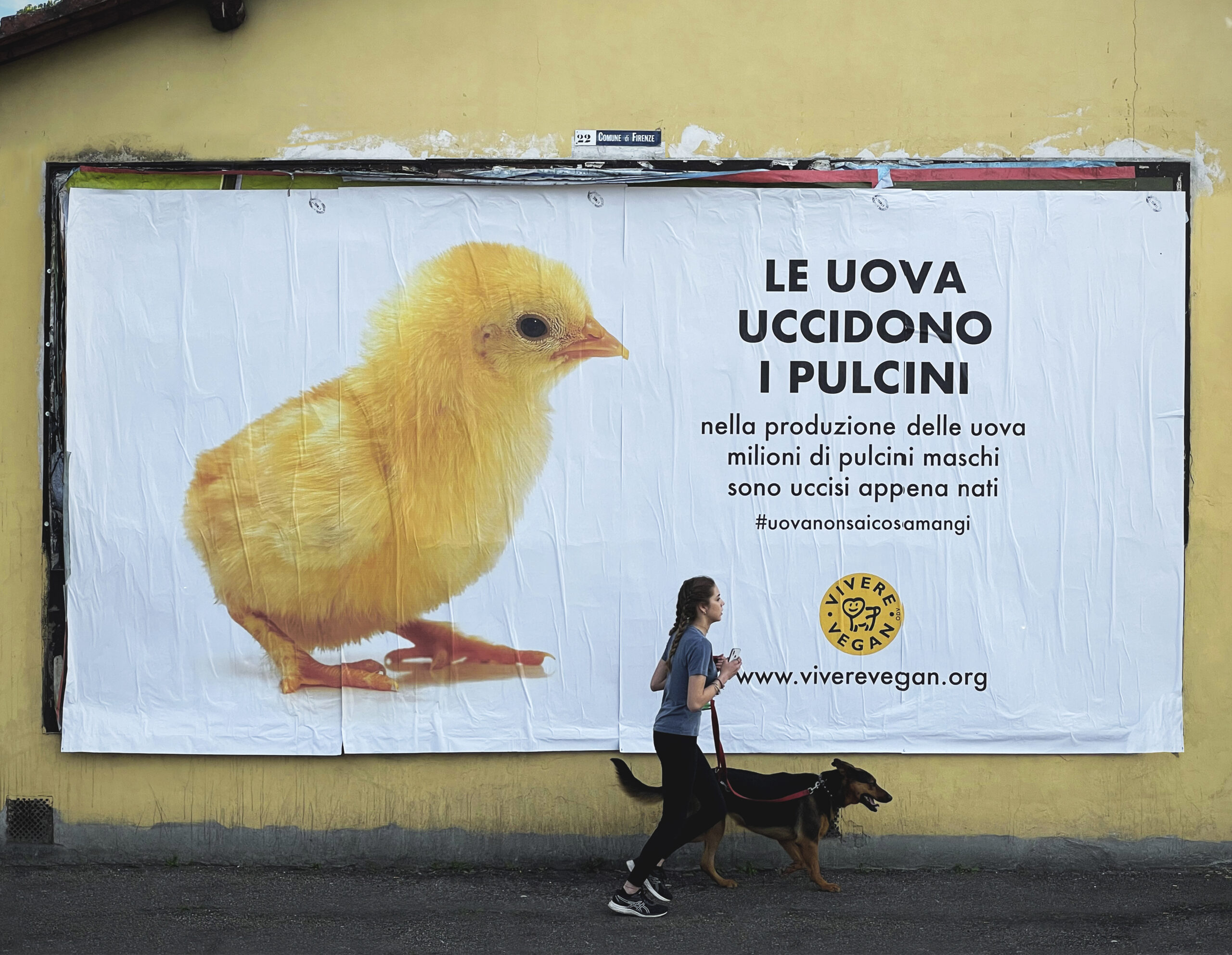 comunichiamolo vivere vegan