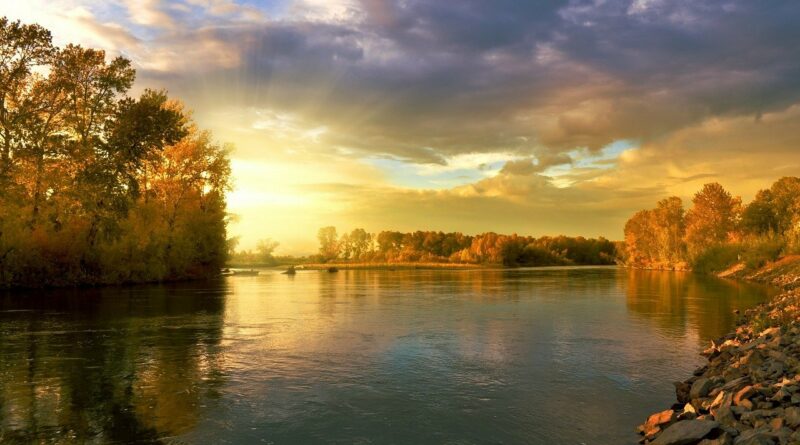 foresta e acqua