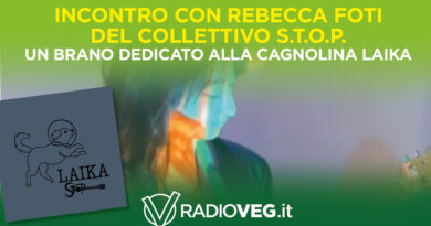 COLLETTIVO S.T.O.P. REBECCA FOTI