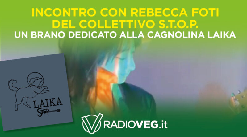 COLLETTIVO S.T.O.P. REBECCA FOTI